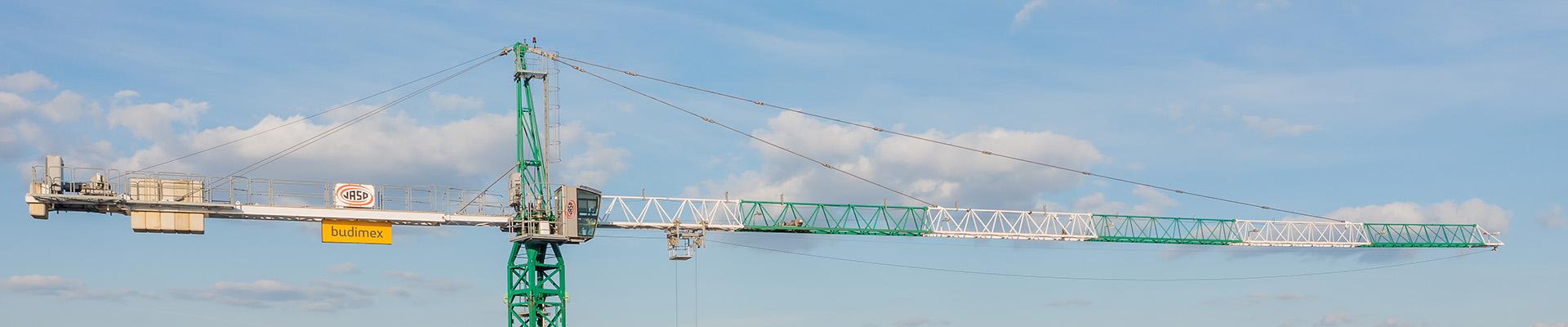 żurawie na tle miasta